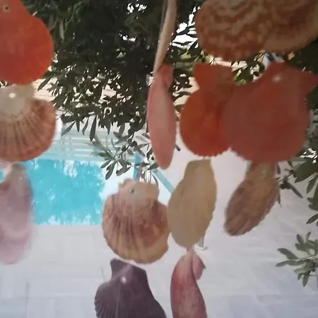 Dreamcatcher Βίλα Βλαχάτα